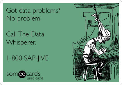 Got data problems?
No problem.

Call The Data
Whisperer.

1-800-SAP-JIVE