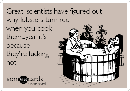 Great, scientists have figured out
why lobsters turn red
when you cook
them...yea, it's
because
they're fucking
hot.