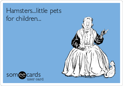 Hamsters...little pets
for children...