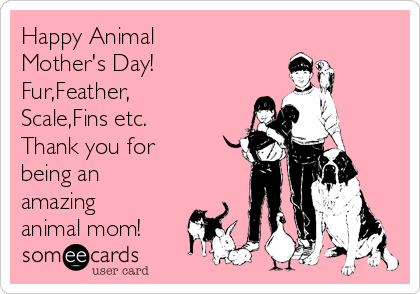 Happy Animal 
Mother's Day!
Fur,Feather,
Scale,Fins etc.
Thank you for
being an
amazing
animal mom!