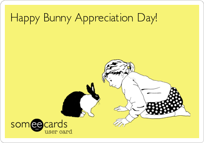 Happy Bunny Appreciation Day!