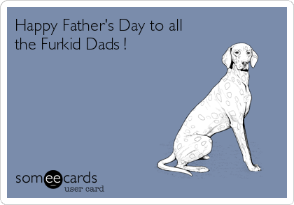 Happy Father's Day to all
the Furkid Dads !