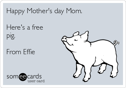 Happy Mother's day Mom.

Here's a free
pig.

From Effie