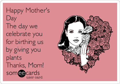 Happy Mother's
Day
The day we
celebrate you
for birthing us
by giving you
plants
Thanks, Mom!