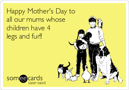 Happy Mother's Day to
all our mums whose
children have 4
legs and fur!!