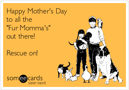 Happy Mother's Day 
to all the 
"Fur Momma's" 
out there!

Rescue on!
