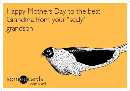 Happy Mothers Day to the best
Grandma from your "sealy"
grandson