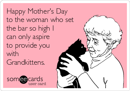 Happy Mother's Day
to the woman who set
the bar so high I
can only aspire
to provide you
with
Grandkittens.