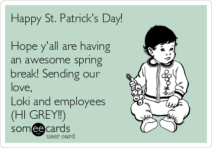 Happy St. Patrick's Day!

Hope y'all are having
an awesome spring
break! Sending our
love, 
Loki and employees 
(HI GREY!!) 