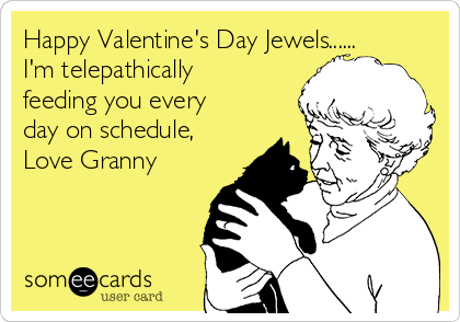 Happy Valentine's Day Jewels......
I'm telepathically
feeding you every
day on schedule,
Love Granny