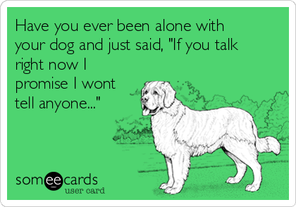 Have you ever been alone with
your dog and just said, "If you talk
right now I
promise I wont
tell anyone..."