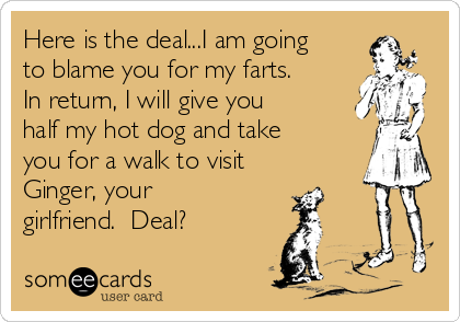 Here is the deal...I am going
to blame you for my farts. 
In return, I will give you
half my hot dog and take
you for a walk to visit
Ginger, your
girlfriend.  Deal?