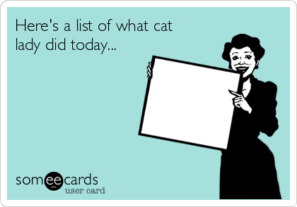 Here's a list of what cat
lady did today...