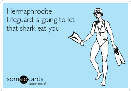Hermaphrodite
Lifeguard is going to let
that shark eat you