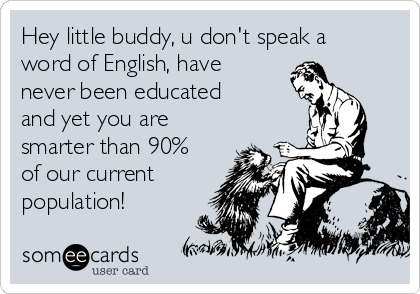 Hey little buddy, u don't speak a
word of English, have
never been educated
and yet you are
smarter than 90%
of our current
population!