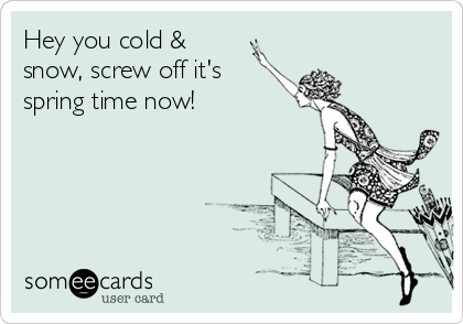 Hey you cold &
snow, screw off it's
spring time now!
