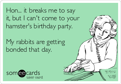 Hon... it breaks me to say
it, but I can't come to your
hamster's birthday party.

My rabbits are getting
bonded that day.