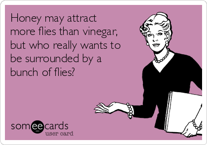 Honey may attract
more flies than vinegar,
but who really wants to
be surrounded by a
bunch of flies?