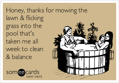 Honey, thanks for mowing the
lawn & flicking
grass into the
pool that's
taken me all
week to clean
& balance