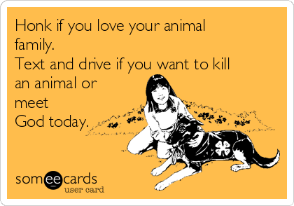 Honk if you love your animal
family.
Text and drive if you want to kill
an animal or
meet
God today.