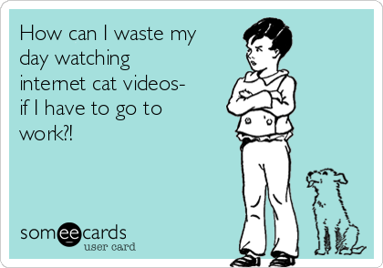 How can I waste my
day watching
internet cat videos-
if I have to go to
work?!