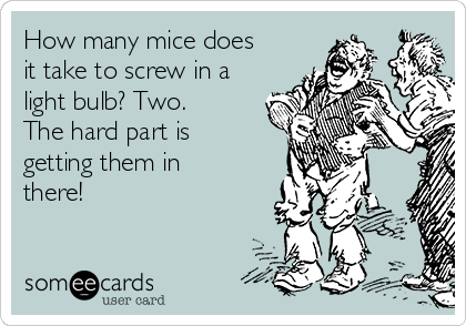 How many mice does
it take to screw in a
light bulb? Two.
The hard part is
getting them in
there!