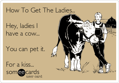 How To Get The Ladies...

Hey, ladies I
have a cow...

You can pet it.

For a kiss...