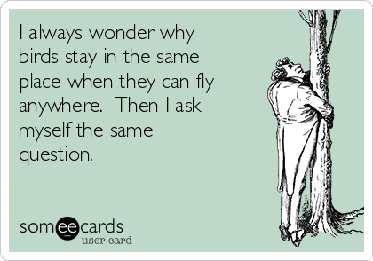 I always wonder why
birds stay in the same
place when they can fly
anywhere.  Then I ask
myself the same
question.