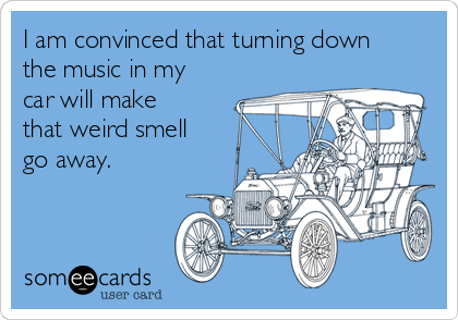 I am convinced that turning down
the music in my
car will make
that weird smell
go away. 