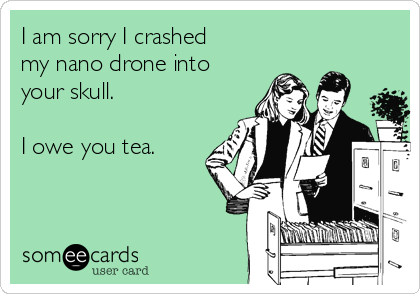 I am sorry I crashed
my nano drone into
your skull.

I owe you tea.