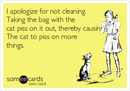 I apologize for not cleaning
Taking the bag with the
cat piss on it out, thereby causing
The cat to piss on more
things.