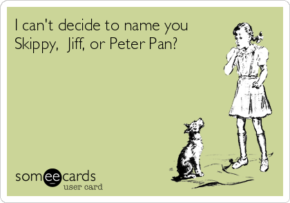 I can't decide to name you
Skippy,  Jiff, or Peter Pan?