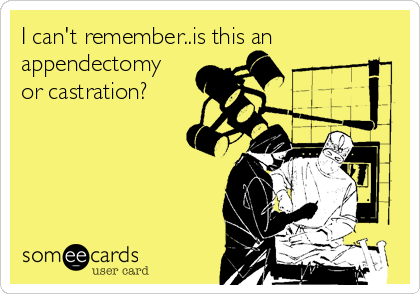 I can't remember..is this an
appendectomy
or castration?