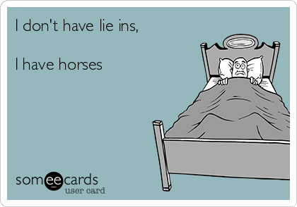 I don't have lie ins, 

I have horses 
