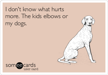 I don't know what hurts
more. The kids elbows or
my dogs.
