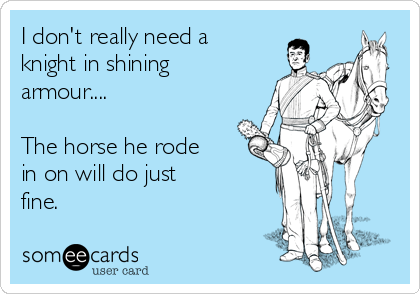 I don't really need a
knight in shining
armour....

The horse he rode 
in on will do just 
fine.