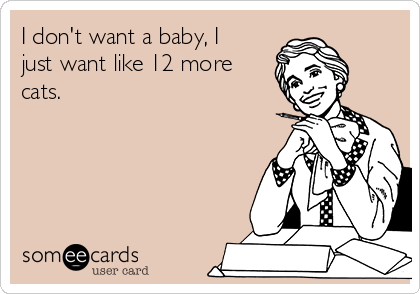 I don't want a baby, I
just want like 12 more
cats.