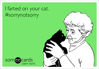 I farted on your cat.
#sorrynotsorry  