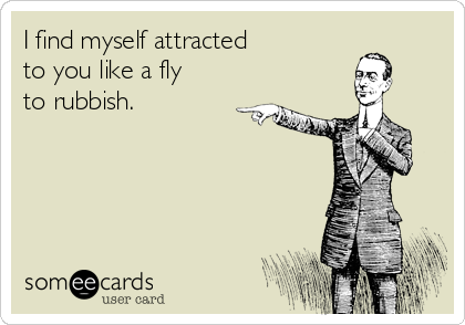 I find myself attracted
to you like a fly 
to rubbish.