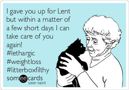 I gave you up for Lent
but within a matter of
a few short days I can
take care of you
again!
#lethargic 
#weightloss
#litterboxfilthy 