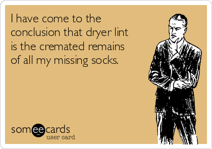 I have come to the
conclusion that dryer lint
is the cremated remains
of all my missing socks.