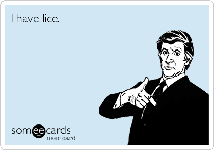 I have lice.
