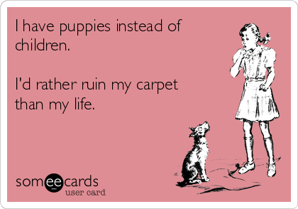 I have puppies instead of
children.

I'd rather ruin my carpet
than my life.