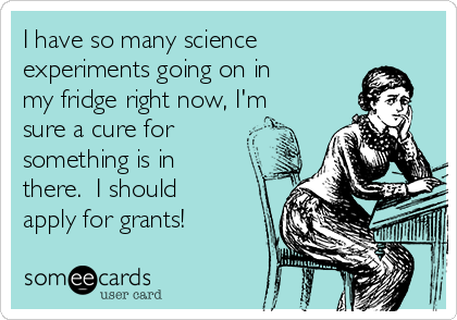 I have so many science
experiments going on in
my fridge right now, I'm
sure a cure for
something is in
there.  I should
apply for grants!