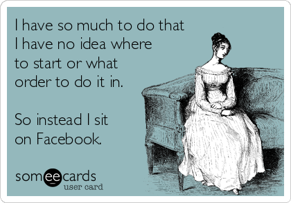 I have so much to do that
I have no idea where
to start or what
order to do it in. 

So instead I sit
on Facebook. 