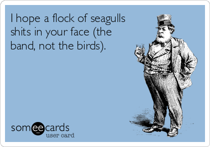 I hope a flock of seagulls 
shits in your face (the
band, not the birds).