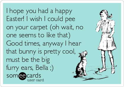 I hope you had a happy
Easter! I wish I could pee
on your carpet (oh wait, no
one seems to like that)
Good times, anyway I hear
that bunny is pretty cool,  
must be the big
furry ears, Bella ;)