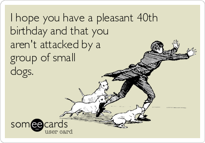 I hope you have a pleasant 40th
birthday and that you
aren't attacked by a
group of small
dogs.