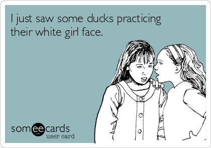 I just saw some ducks practicing
their white girl face.