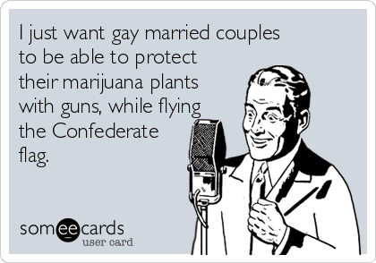 i-just-want-gay-married-couples-to-be-able-to-protect-their-marijuana-plants-with-guns-while-flying-the-confederate-flag--31f0e.png